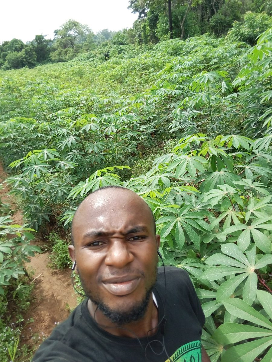 Ugochukwu taking a selfie in a green cassava field.